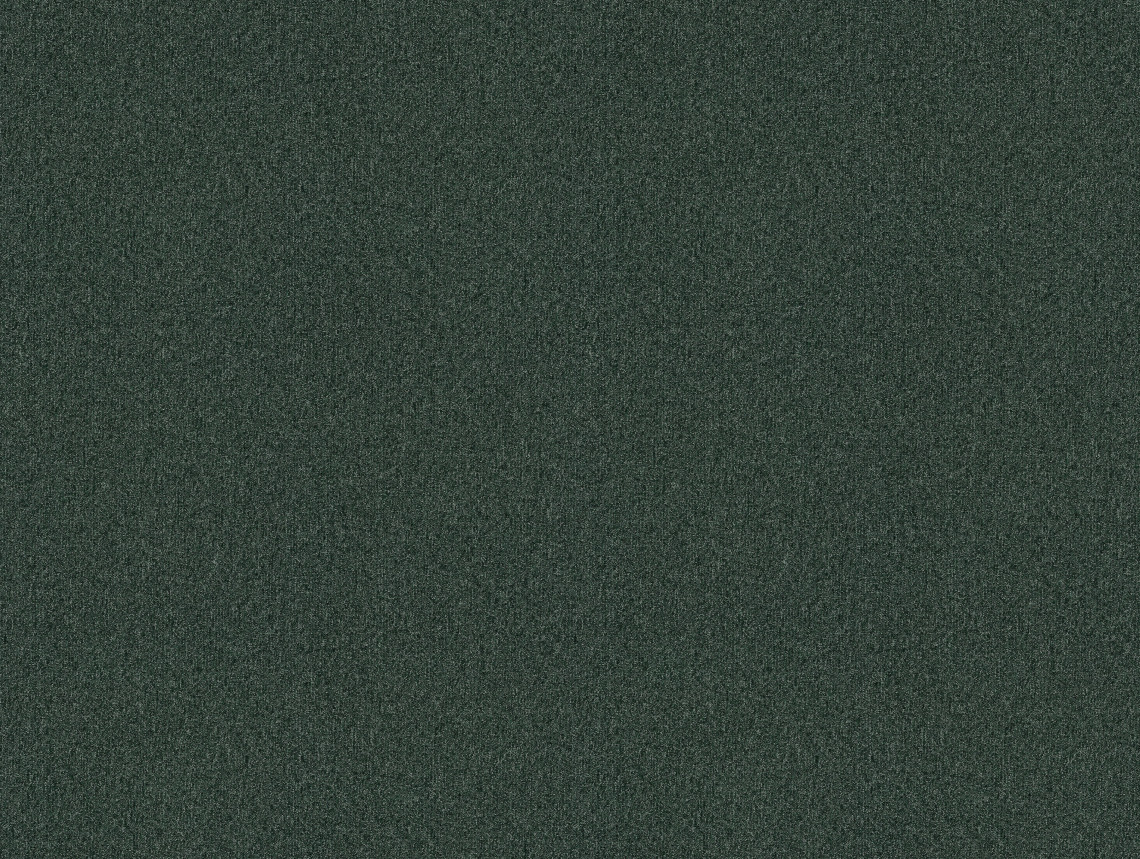 Tessera basis pro - 4386 foliage